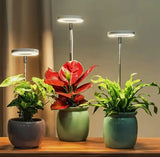 Iliana - Verstellbare LED-Wachstumslampe für Pflanzen