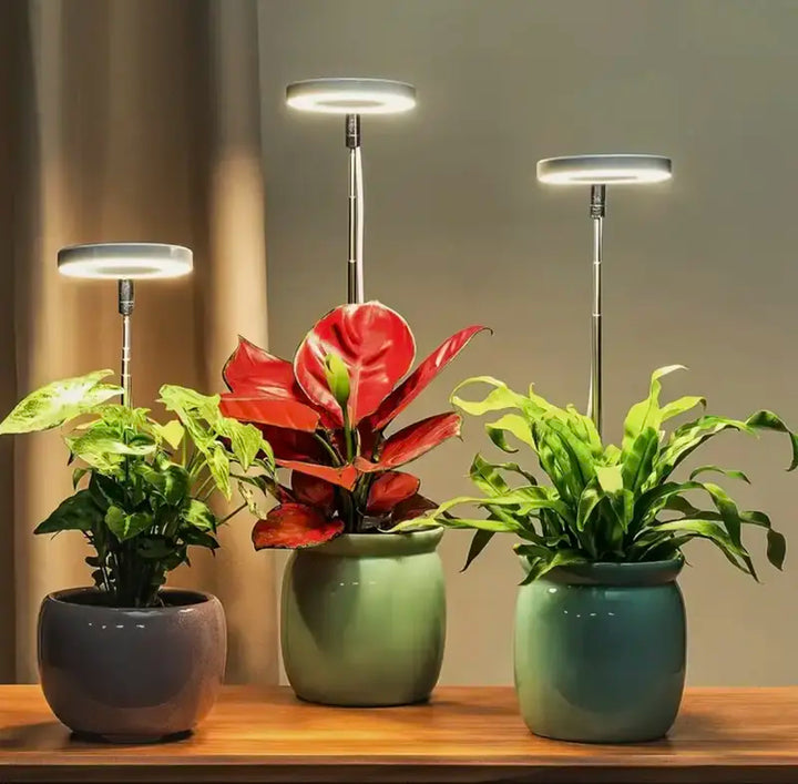 Iliana - Verstellbare LED-Wachstumslampe für Pflanzen