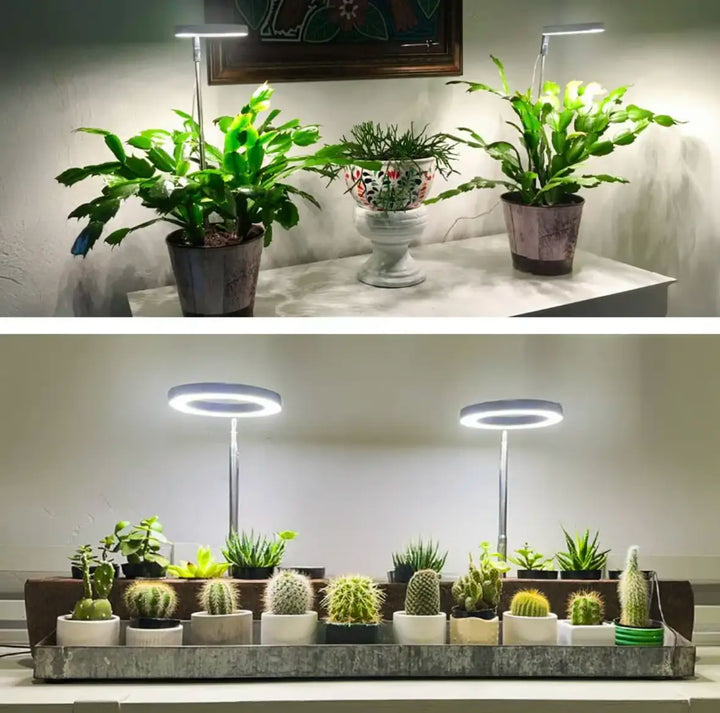 Iliana - Verstellbare LED-Wachstumslampe für Pflanzen