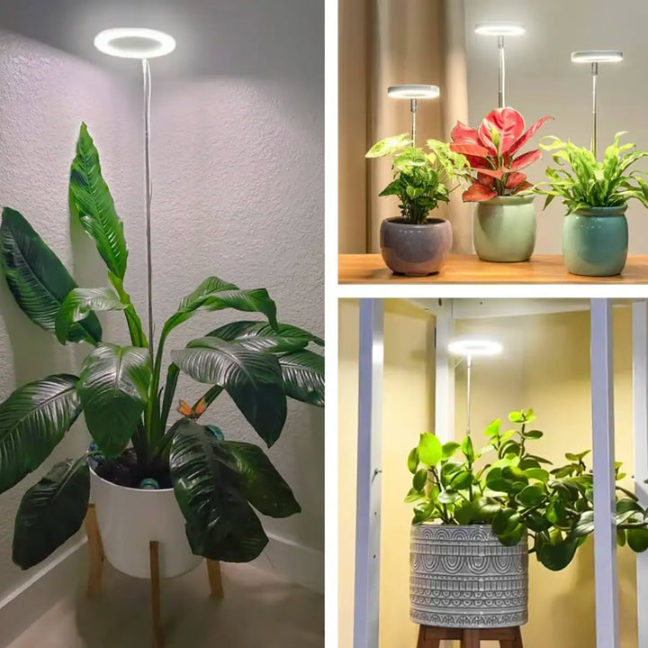 Iliana - Verstellbare LED-Wachstumslampe für Pflanzen